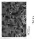 Fig. 05 - High thermal conductance thermal interface materials based on nanostructured metallic network-polymer composites