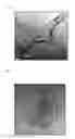Fig. 02 - Method for preparing chemical mechanical polishing slurry composition