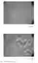 Fig. 10 - CONDITIONING COMPOSITIONS FOR SOLAR CELLS