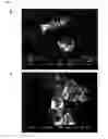 Fig. 08 - (HALO)silicate-based phosphor and manufacturing method of the same