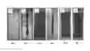 Fig. 01 - ENVIRONMENTAL ANTI-CORROSIVE ADDITIVES BASED ON POLY(ALKYLTHIOPHENE ACETATES) EASILY DISPERSIBLE IN PRIMING PAINTS FOR METAL SURFACES