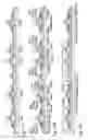 Fig. 12 - Light emitting device