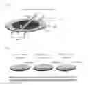 Fig. 03 - Hybrid silicon wafer
