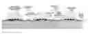 Fig. 01 - Packaging photon building blocks having only top side connections in a molded interconnect structure