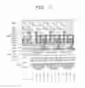 Fig. 03 - CMOS image sensors including backside illumination structure and method of manufacturing image sensor