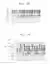Fig. 06 - CMOS image sensors including backside illumination structure and method of manufacturing image sensor