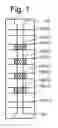 Fig. 02 - Metal control gate formation in non-volatile storage