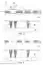 Fig. 03 - Bilayer trench first hardmask structure and process for reduced defectivity