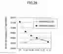 Fig. 29 - Semiconductor package and method for manufacturing semiconductor package