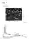 Fig. 10 - PERMANENT MAGNET AND MANUFACTURING METHOD THEREOF