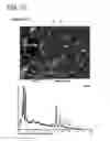 Fig. 11 - PERMANENT MAGNET AND MANUFACTURING METHOD THEREOF