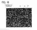 Fig. 14 - PERMANENT MAGNET AND MANUFACTURING METHOD THEREOF