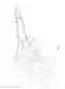 Fig. 06 - Motorcycle with a rear frame portion having a reduced-width portion