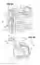 Fig. 10 - Cogeneration apparatus case venting system