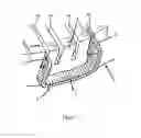 Fig. 02 - Armature windings