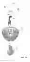 Fig. 03 - High intensity light source