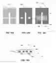 Fig. 09 - Current difference sensors, systems and methods