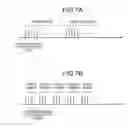 Fig. 10 - Combining multiple MRI data acquisitions having different B1 inhomogeneities