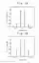 Fig. 08 - High frequency power amplifier