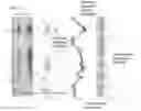 Fig. 09 - System and method for generation of alerts and advice from automatically detected borehole breakouts