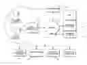 Fig. 01 - Fitness facility equipment usage control system and method
