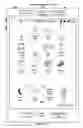 Fig. 06 - Device, method, and graphical user interface for navigating and annotating an electronic document