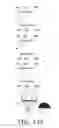 Fig. 137 - ASIC controller for light-based touch screen