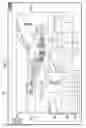 Fig. 06 - Image Management and Presentation