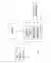 Fig. 02 - Looping motion space registration for real-time character animation