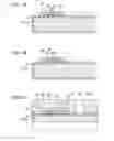 Fig. 07 - Piezoelectric element, liquid ejecting head, and liquid ejecting apparatus