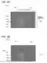 Fig. 05 - Face imaging system and method for controlling the face imaging system