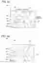 Fig. 06 - Face imaging system and method for controlling the face imaging system