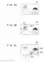 Fig. 04 - Image capturing apparatus and control method thereof