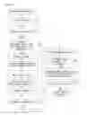 Fig. 06 - CAMERA DEVICE, MOBILE TERMINAL AND AE CONTROLLING METHOD