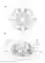 Fig. 01 - Camera drive device