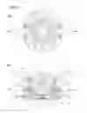 Fig. 12 - Camera drive device