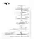 Fig. 08 - Spectrum measuring apparatus for mover
