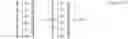 Fig. 07 - Method and Apparatus for the Stabilization of Spectrometric Transducers