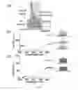 Fig. 08 - All-protein implantable, resorbable reflectors