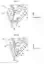 Fig. 02 - Vehicle mirror device