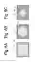 Fig. 09 - Light-emitting device, method for producing the same, and illuminating device