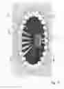 Fig. 12 - Ring light illuminator, beam shaper and method for illumination