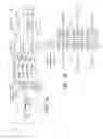 Fig. 02 - Integrated circuit with staggered signal output