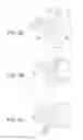 Fig. 06 - TIMEPIECE