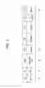 Fig. 08 - Apparatus and method for transmitting/receiving data in communication system