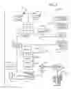 Fig. 03 - DYNAMIC WIRELESS NETWORKS AND INTERACTIVE WIRELESS INFORMATION COMMUNICATION AND DELIVERY SYSTEMS