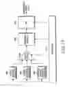 Fig. 24 - Method and apparatus for transmitting synchronization signals in an OFDM based cellular communications system