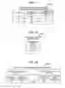 Fig. 20 - Communication apparatus and communication system for enhancing speed of communications between terminals