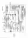 Fig. 30 - Communication apparatus and communication system for enhancing speed of communications between terminals
