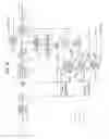 Fig. 09 - Apparatus and method for coding picture data